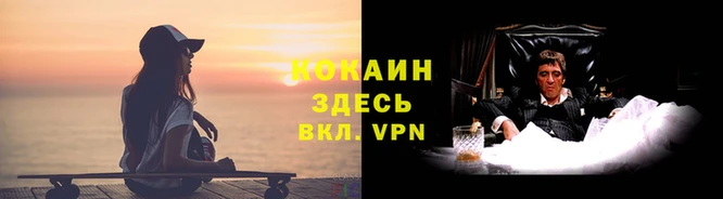 дживик Фёдоровский