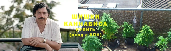 дживик Фёдоровский